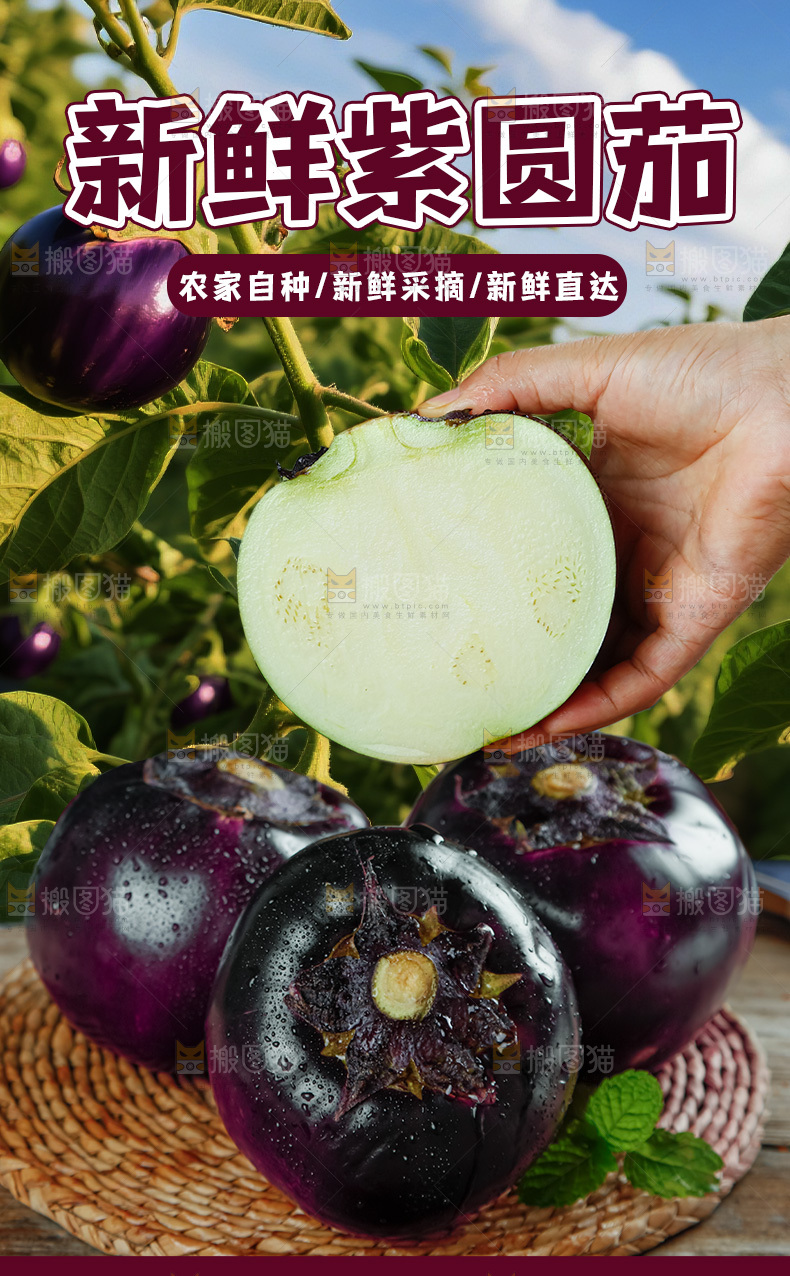 紫圆茄子详情页