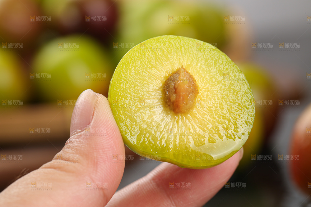 茵红脱骨李