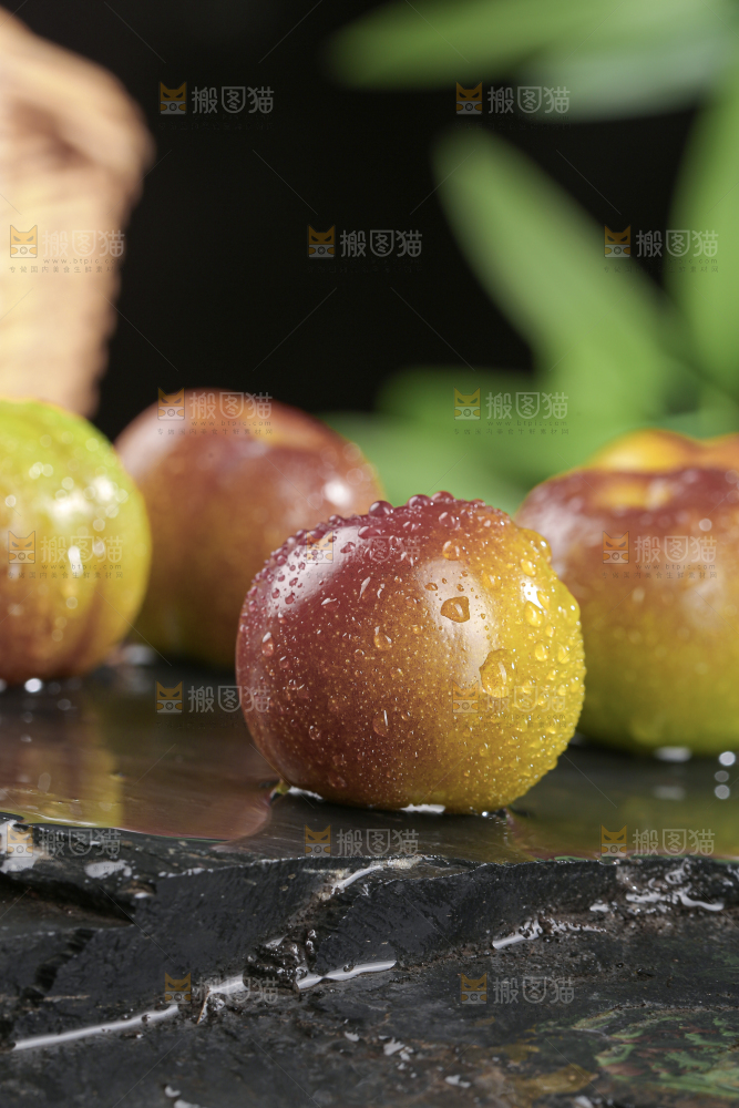 茵红脱骨李