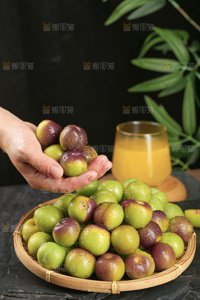 茵红脱骨李