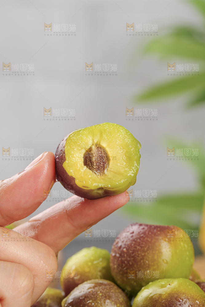茵红脱骨李