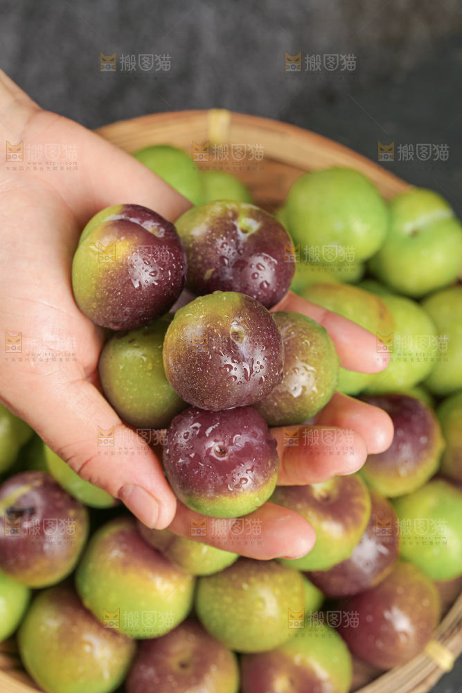 茵红脱骨李