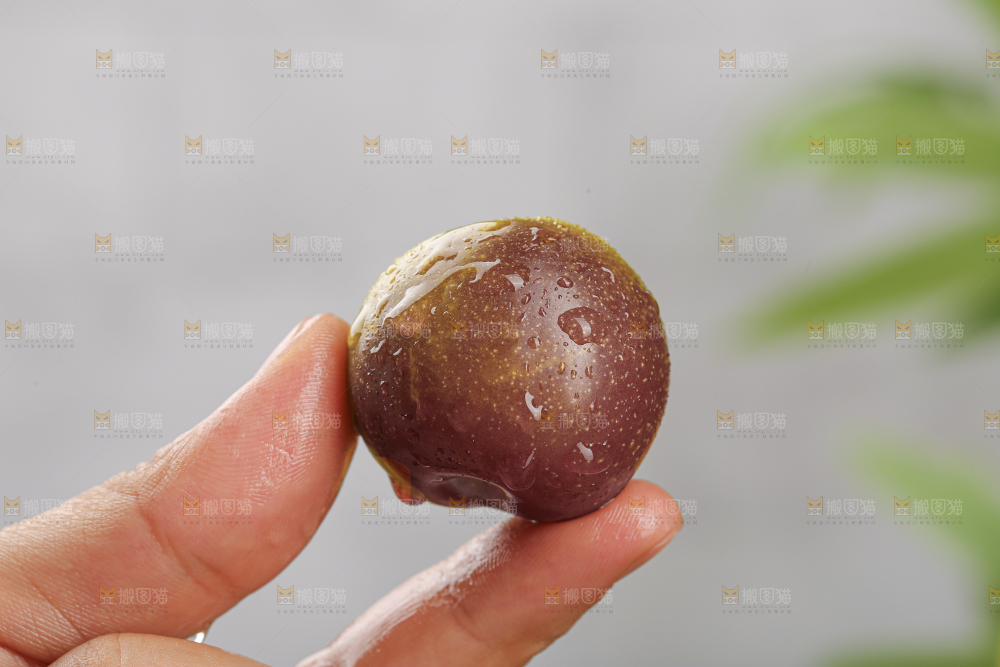 茵红脱骨李