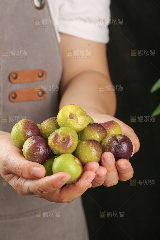 茵红脱骨李