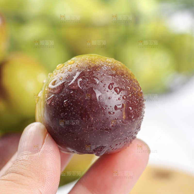 茵红脱骨李
