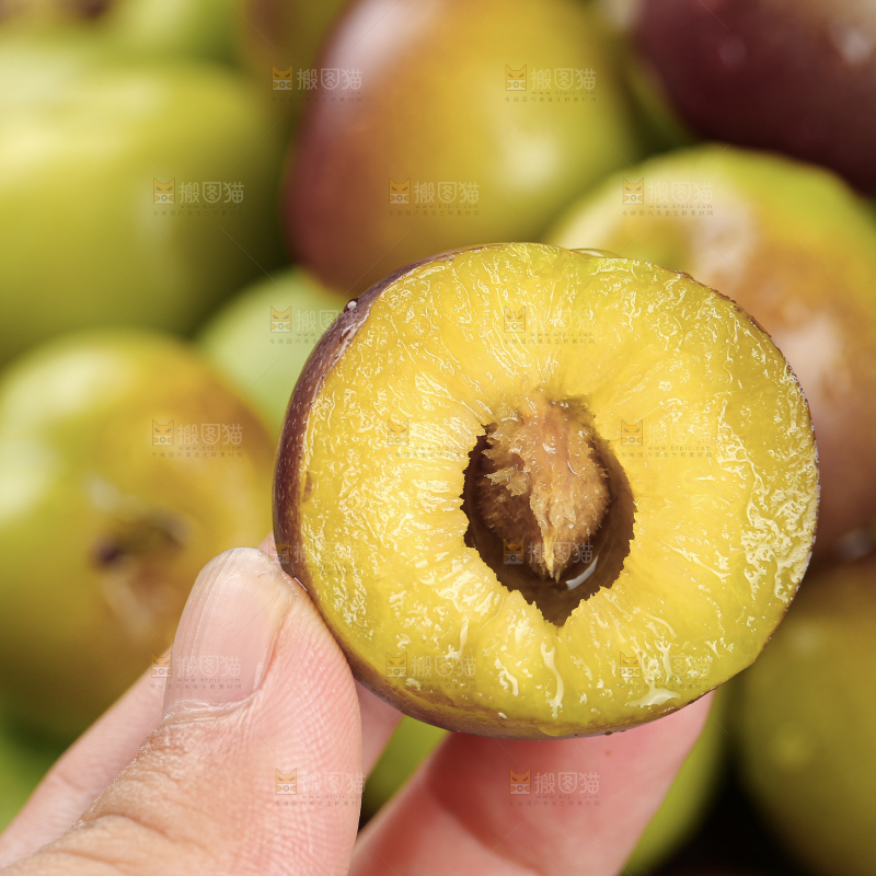 茵红脱骨李