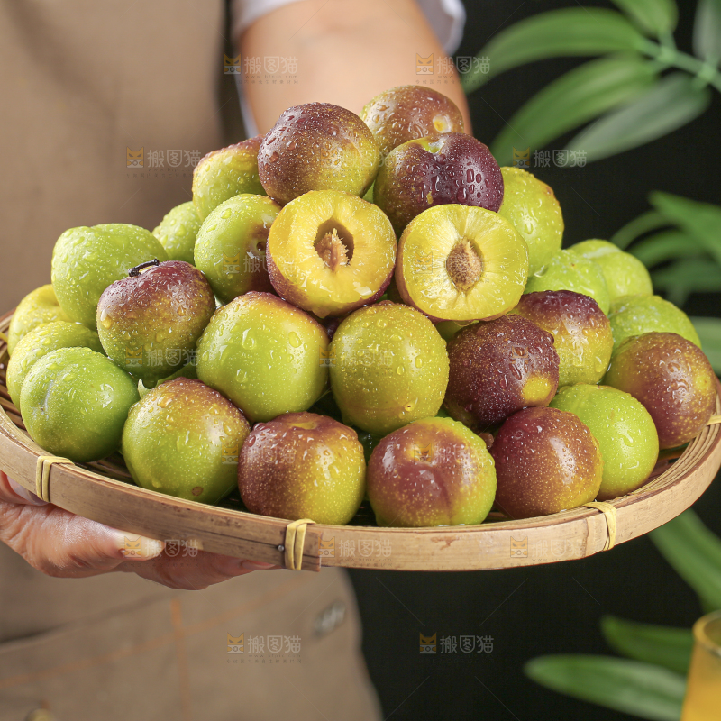 茵红脱骨李