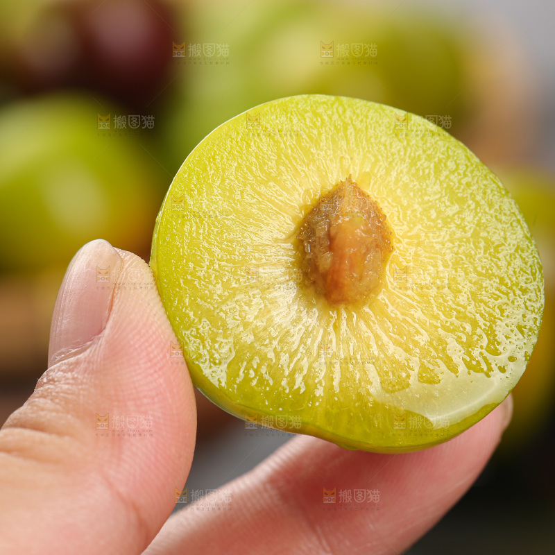 茵红脱骨李