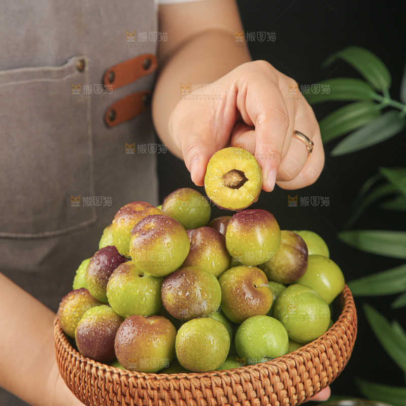 茵红脱骨李