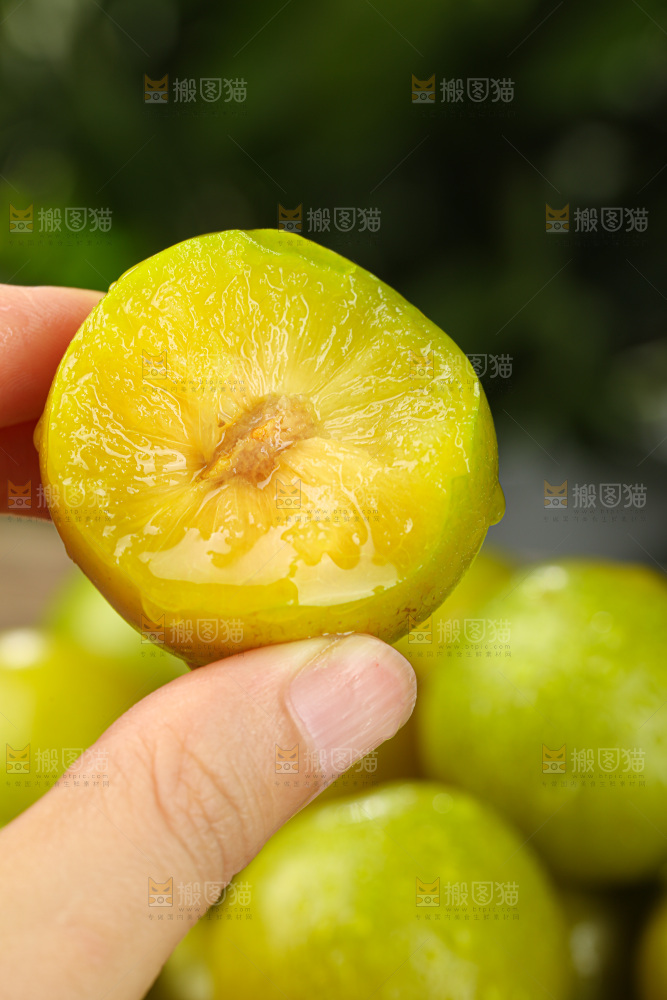 蜂糖李