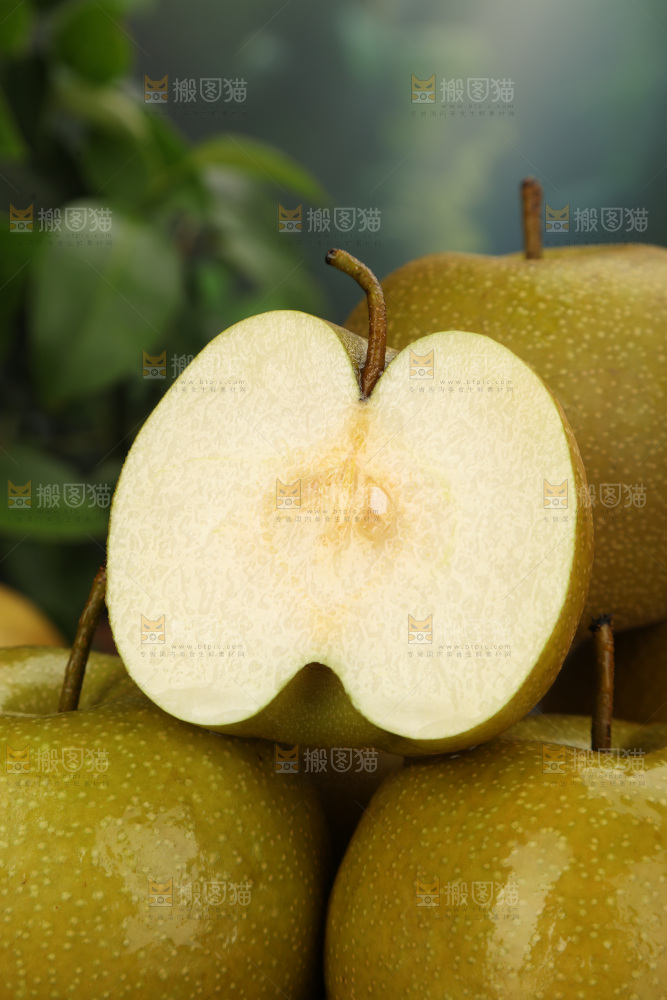 黄皮梨