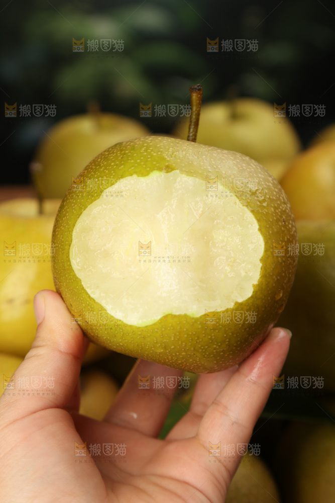 黄皮梨