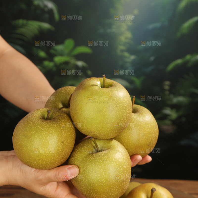 黄皮梨