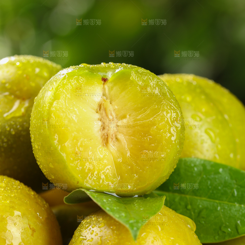 蜂糖李