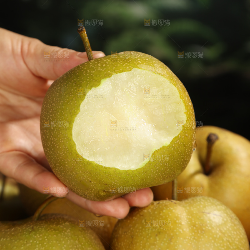 黄皮梨