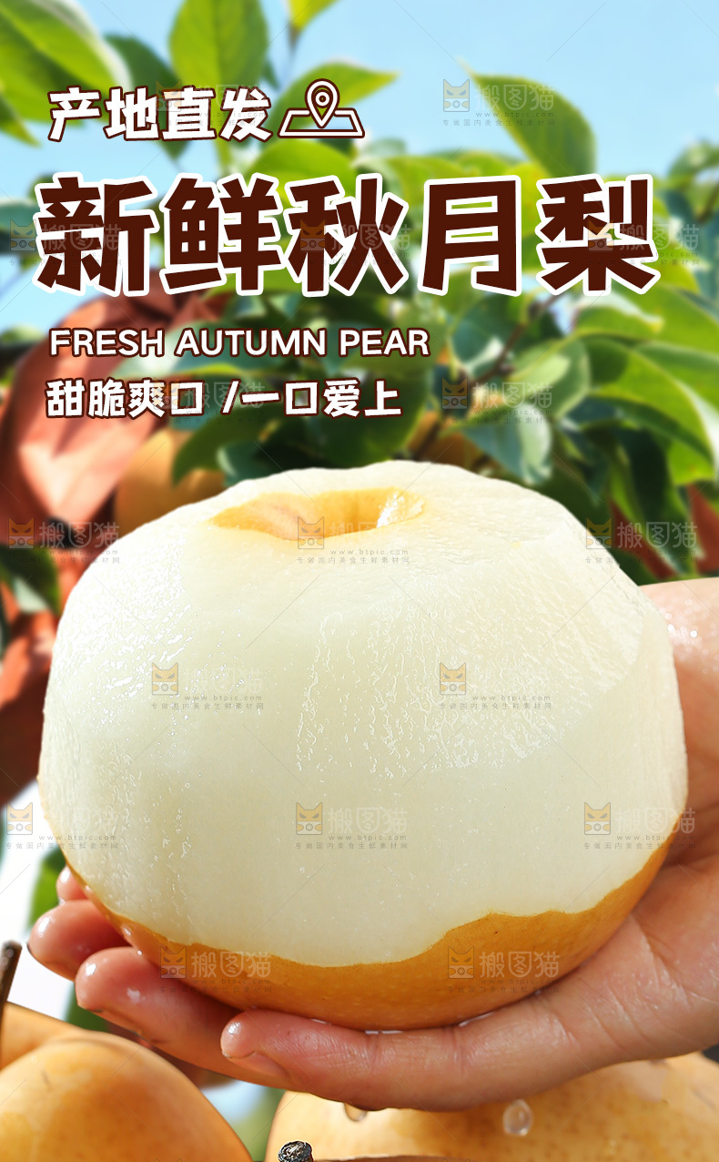 秋月梨详情页