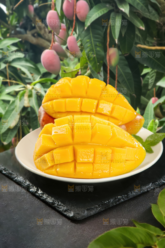 贵妃芒