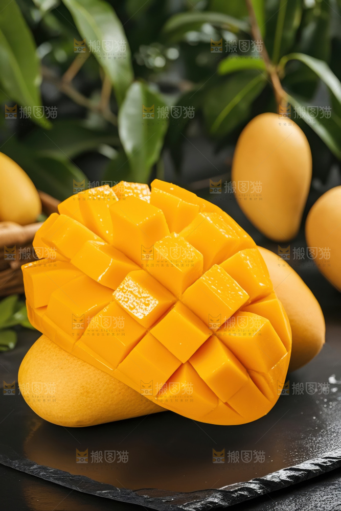 大台芒