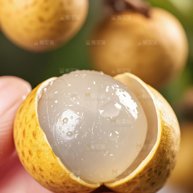 龙眼