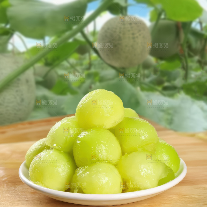 网纹蜜瓜