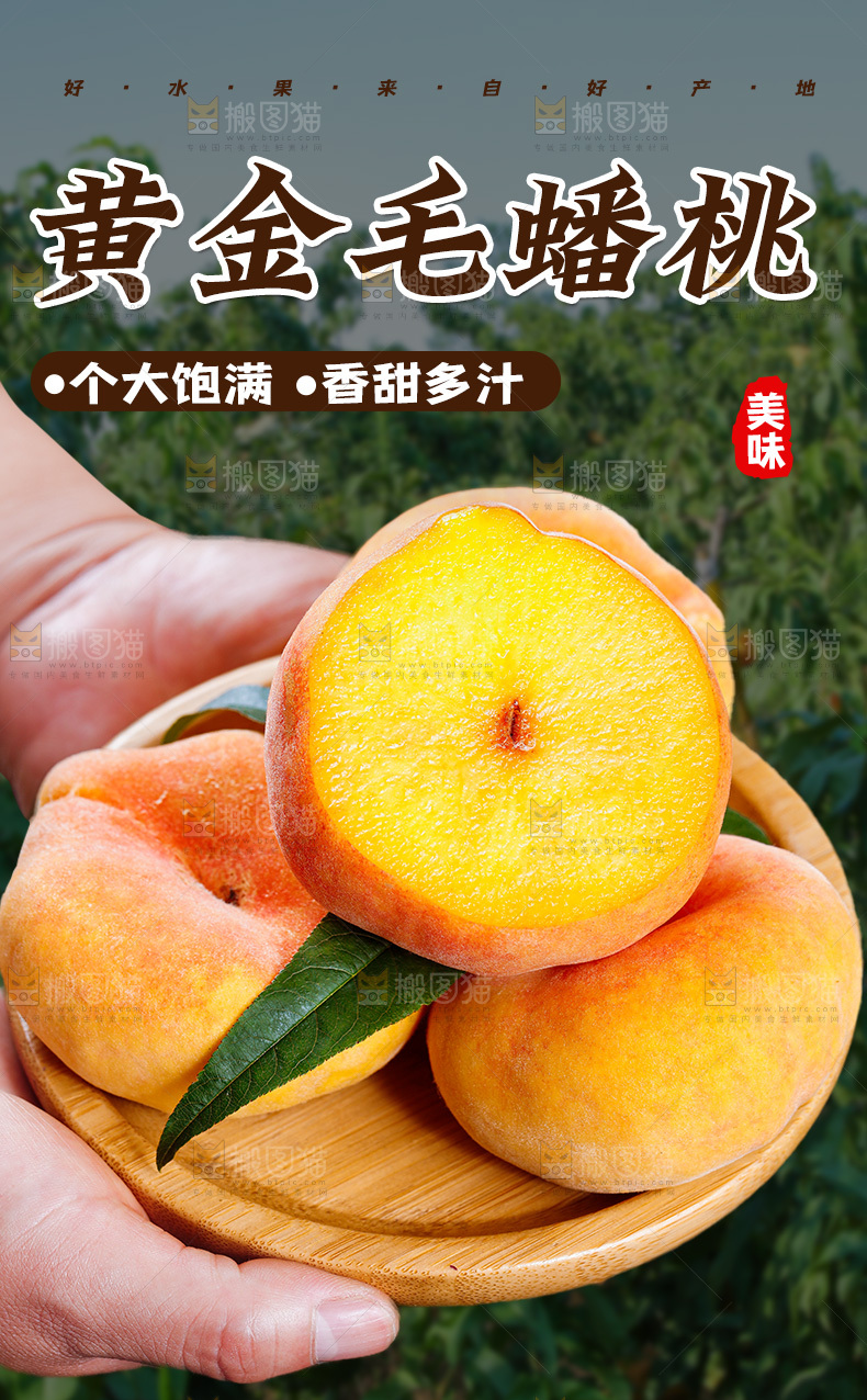 黄毛蟠桃详情页