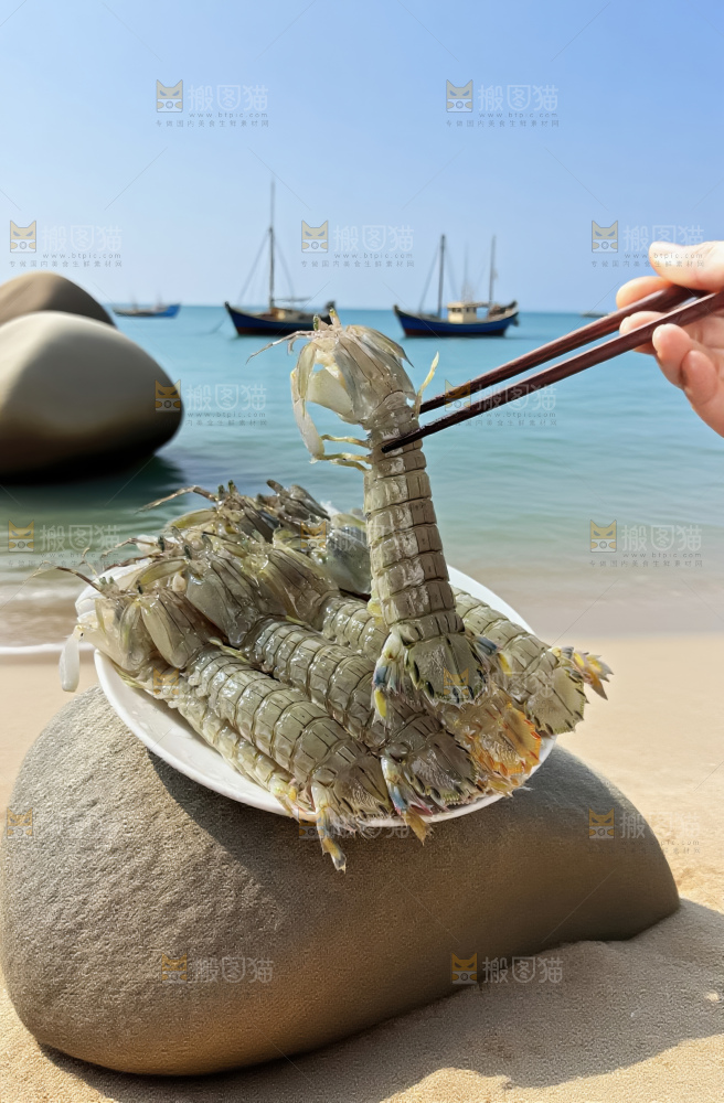 皮皮虾