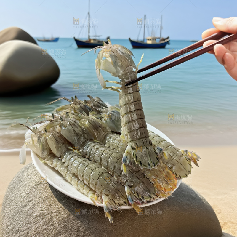 皮皮虾