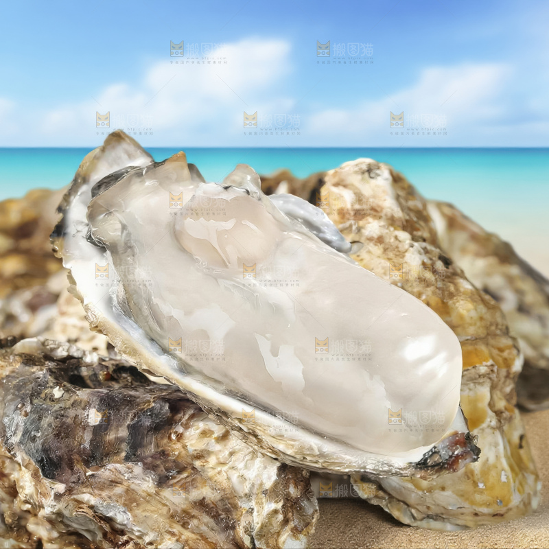 生蚝