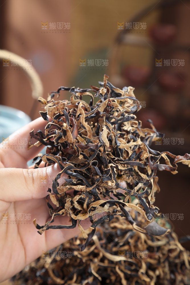木耳丝