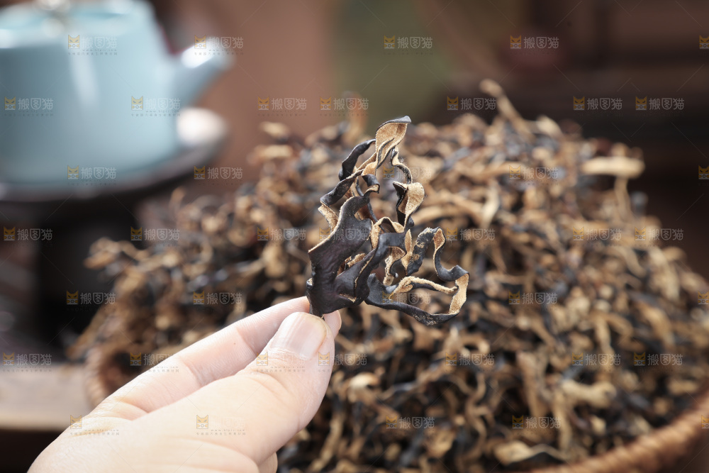 木耳丝
