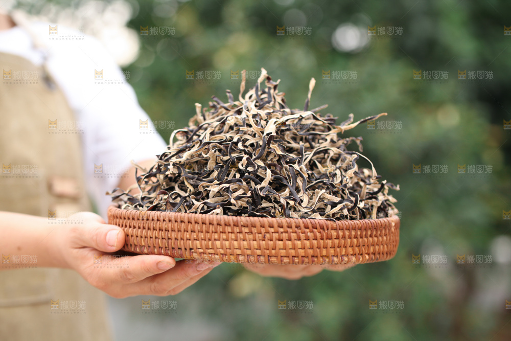 木耳丝