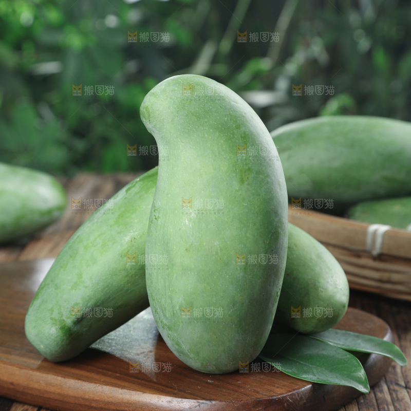 桂七芒