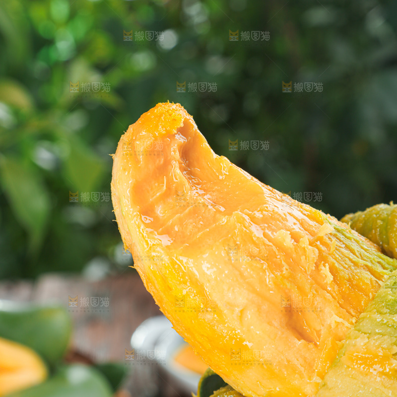 桂七芒