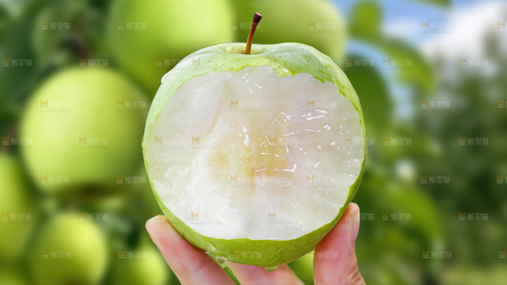 青冠梨