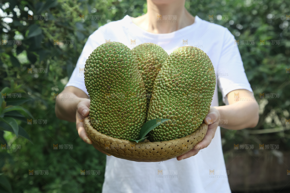榴莲蜜