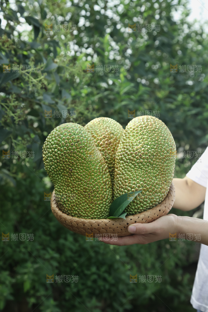 榴莲蜜