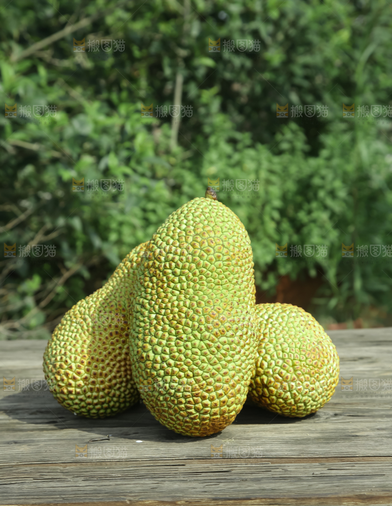 榴莲蜜