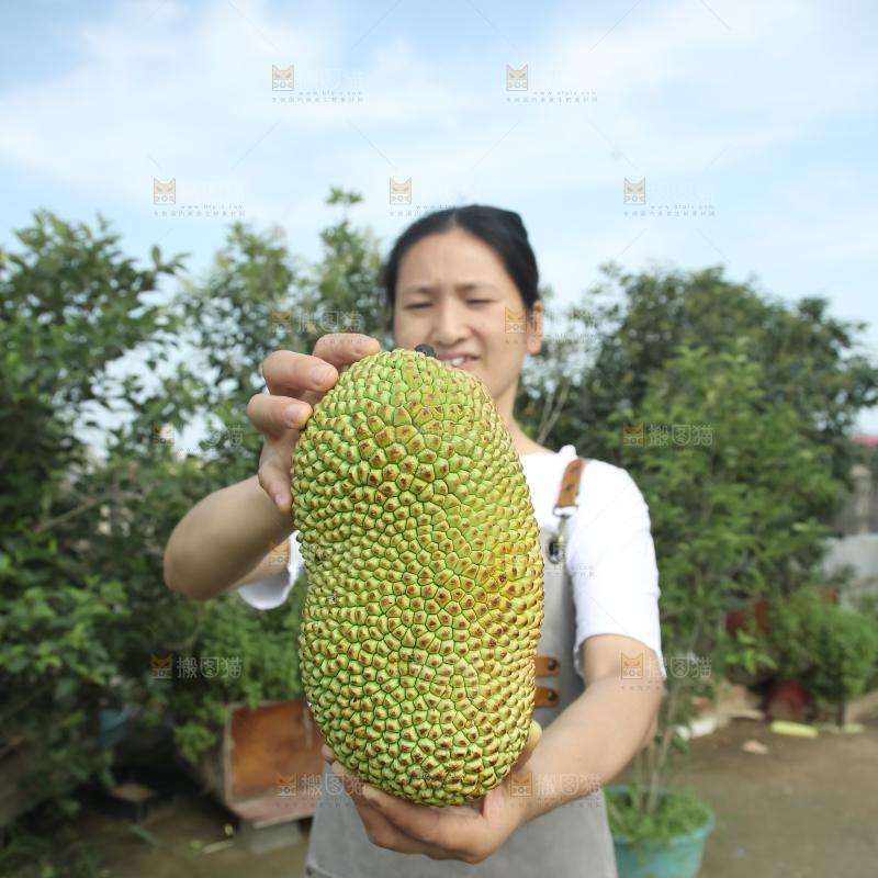 榴莲蜜