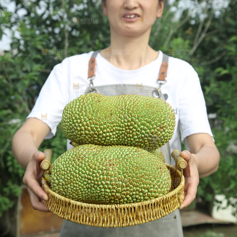 榴莲蜜
