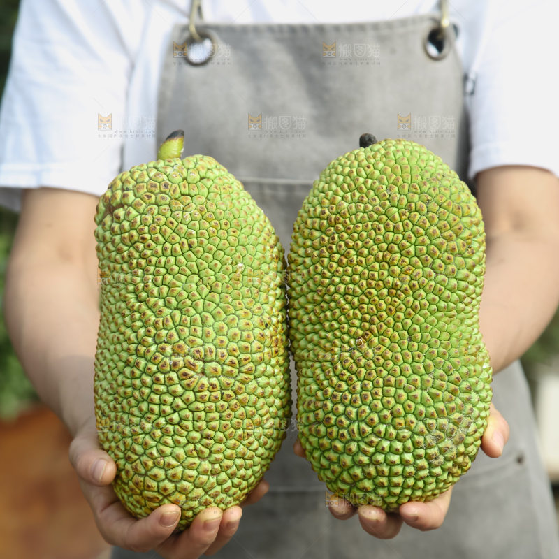 榴莲蜜
