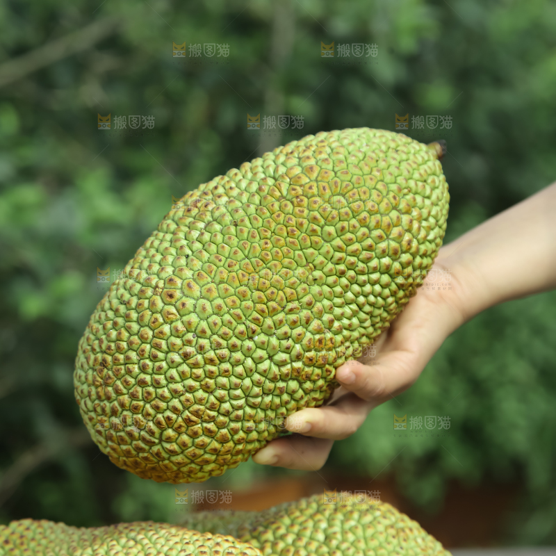 榴莲蜜