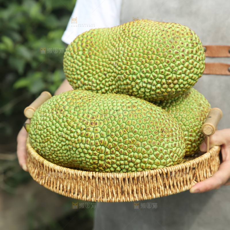 榴莲蜜