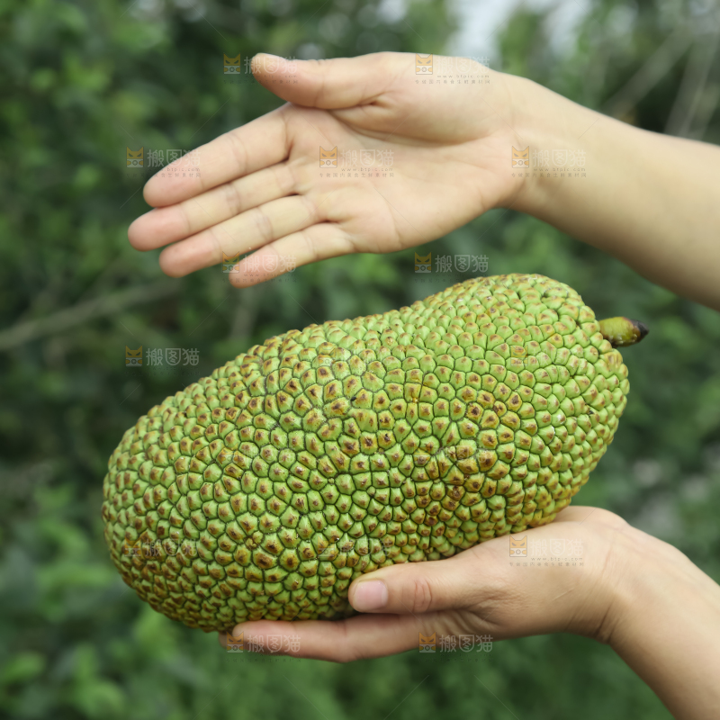 榴莲蜜