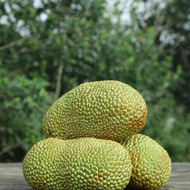 榴莲蜜