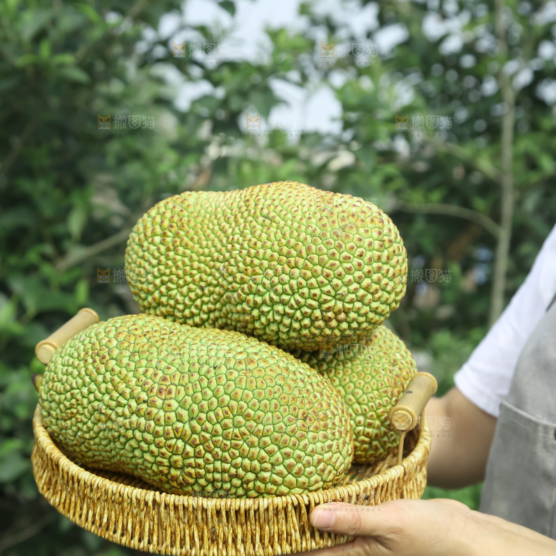 榴莲蜜