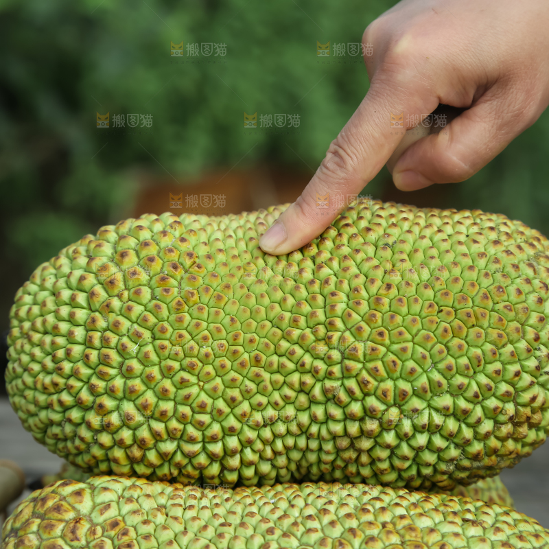 榴莲蜜