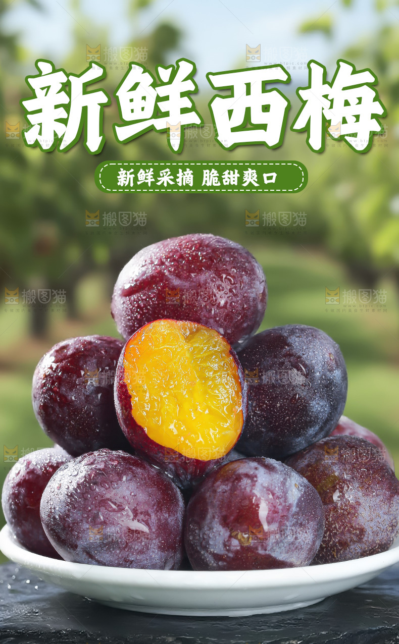 西梅详情页