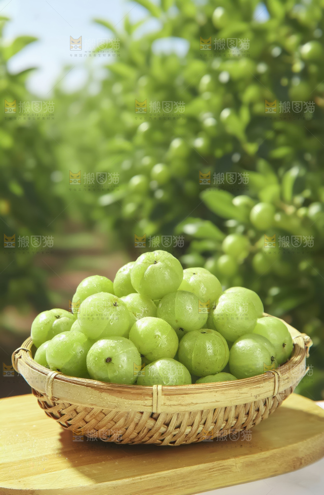 油甘果
