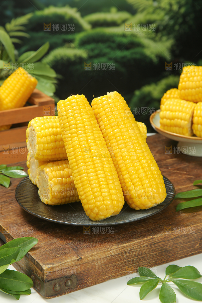 黄糯玉米