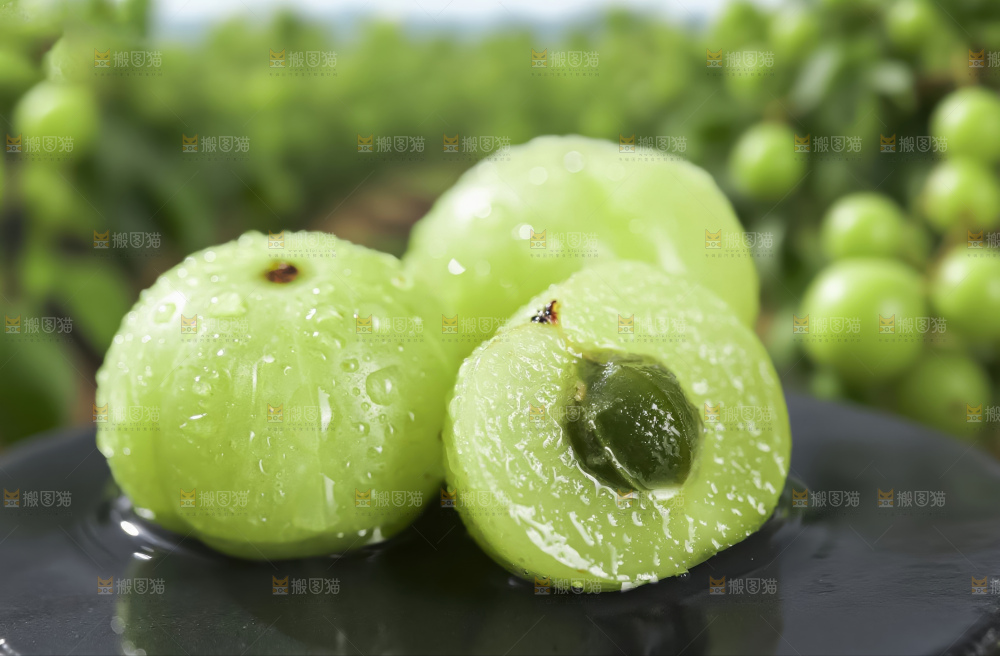 油甘果